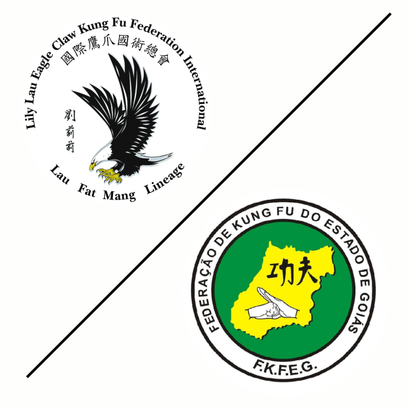 Academia de kung fu oficial em Goiás