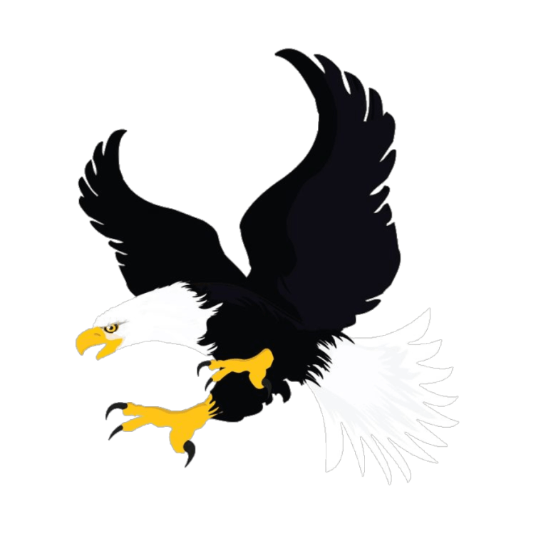 Kung Fu Garra de Águia