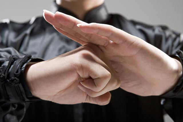 Kung Fu Garra de Águia